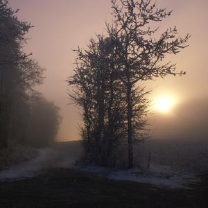 国产femdom调教6582视频
