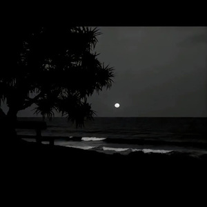 国产femdom调教6582视频
