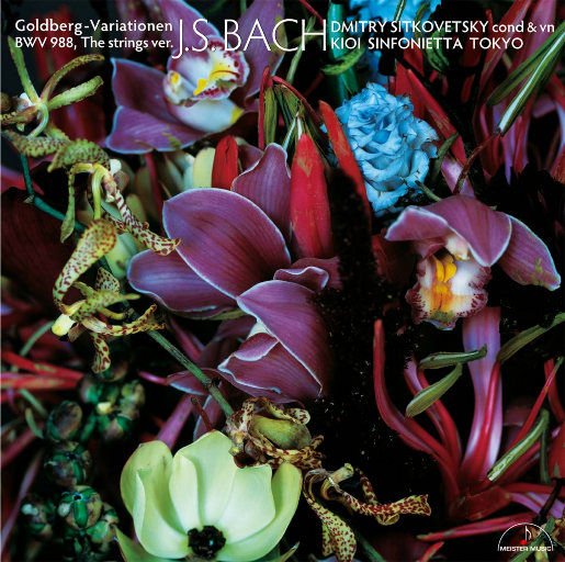 国产femdom调教6582视频
